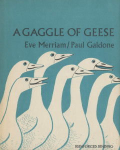 A Gaggle of Geese