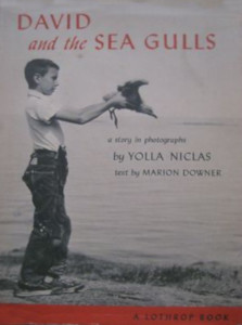 David and the Sea Gulls: a story in photographs by Yolla Niclas