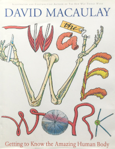 The Way We Work: Getting to Know the Amazing Human Body