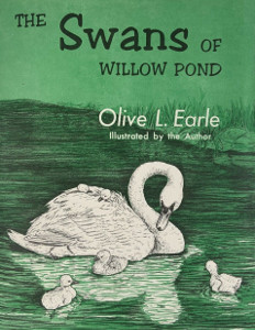 The Swans of Willow Pond