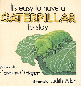 It's Easy To Have a Caterpillar to Stay
