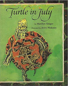 Turtle in July