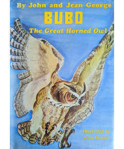 Bubo: The Great Horned Owl