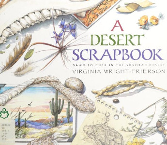 A Desert Scrapbook: Dawn to Dusk in the Sonoran Desert