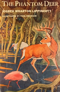 The Phantom Deer