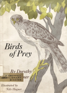 Birds of Prey