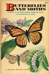 Butterflies and Moths: A guide to the more common American species
