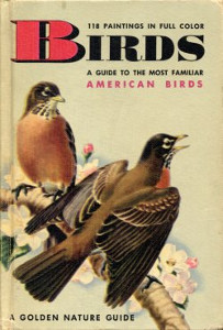 Birds: A Guide to the Most Familiar American Birds