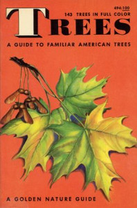 Trees: A guide to familiar American trees