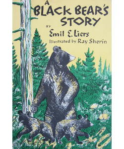 A Black Bear's Story