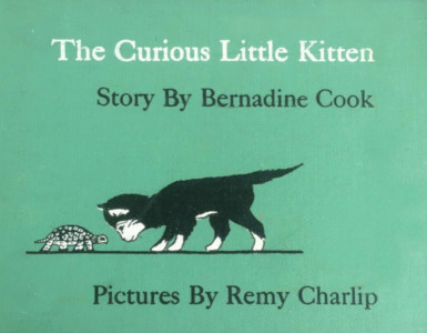 The Curious Little Kitten