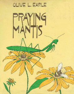 Praying Mantis