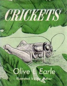 Crickets