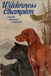 Wilderness Champion: The Story of a Great Hound