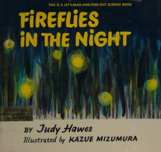 Fireflies in the Night