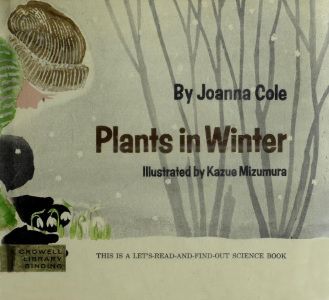 Plants in Winter