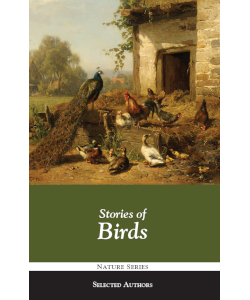 Stories of Birds