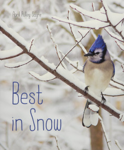 Best in Snow