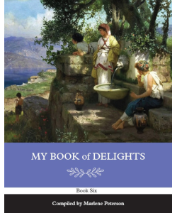 My Book of Delights: Book Six