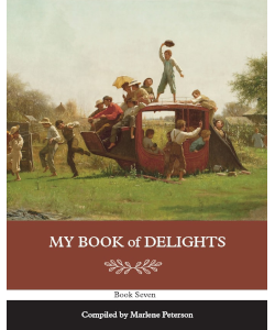 My Book of Delights: Book Seven