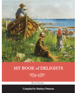 My Book of Delights: Book Eleven