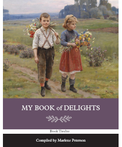 My Book of Delights: Book Twelve