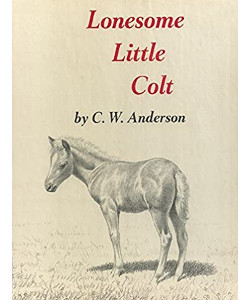 Lonesome Little Colt