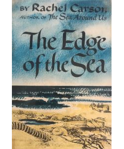 The Edge of the Sea