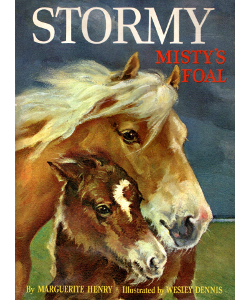 Stormy, Misty's Foal