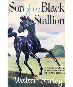 Son of the Black Stallion
