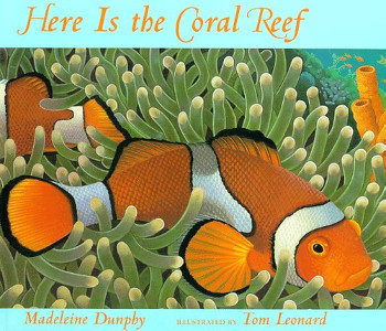 Here is the Coral Reef