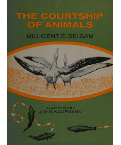 The Courtship of Animals