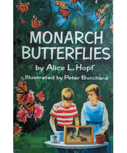 Monarch Butterflies