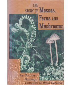 The Story of Mosses, Ferns and Mushrooms