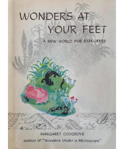 Wonders at Your Feet: A New World for Explorers