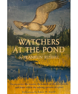 Watchers at the Pond