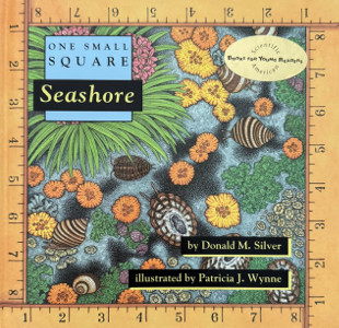 One Small Square: Seashore