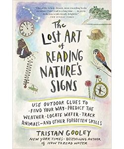 The Lost Art of Reading Nature's Signs