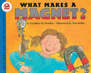 What Makes a Magnet?