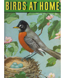 Birds at Home