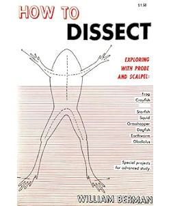How to Dissect: Exploring with Probe and Scalpel