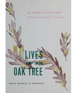 Lives of an Oak Tree