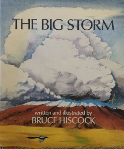 The Big Storm