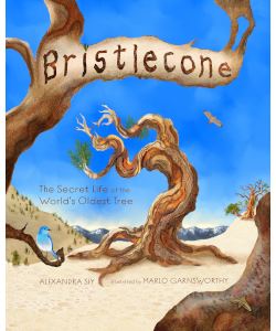Bristlecone: The Secret Life of the World's Oldest Tree