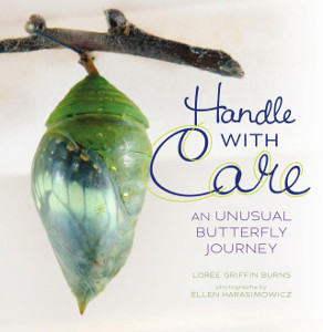 Handle With Care: An Unusual Butterfly Journey