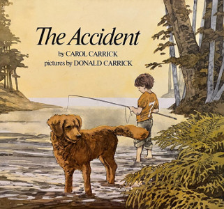 The Accident