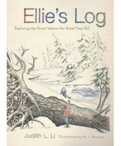 Ellie's Log: Exploring the Forest Where the Great Tree Fell