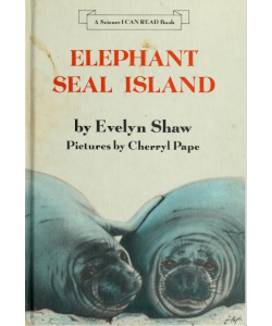 Elephant Seal Island