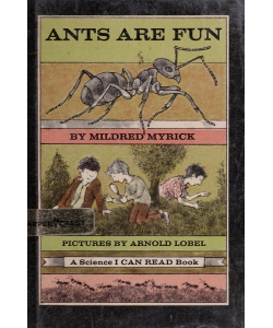 Ants Are Fun