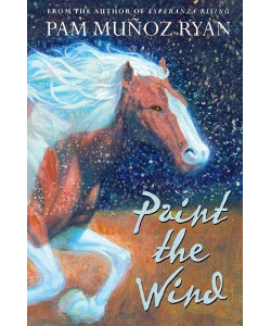 Paint the Wind